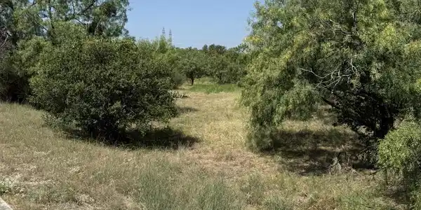 Image 3 Image 3