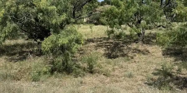 Image 4 Image 4