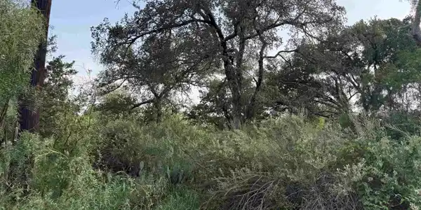 Image 2 Image 2