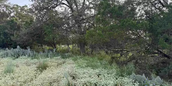 Image 4 Image 4