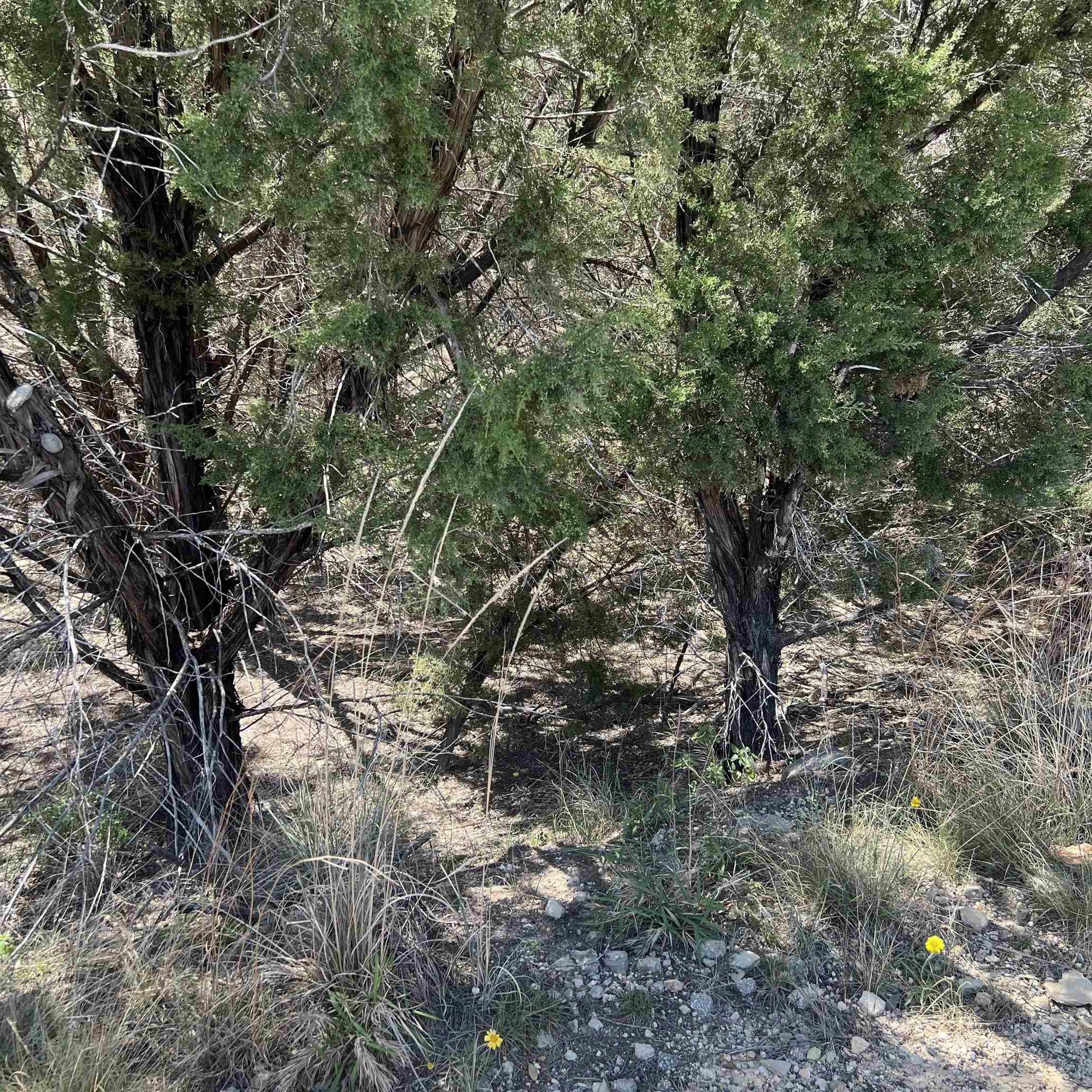 Image 3 Image 3