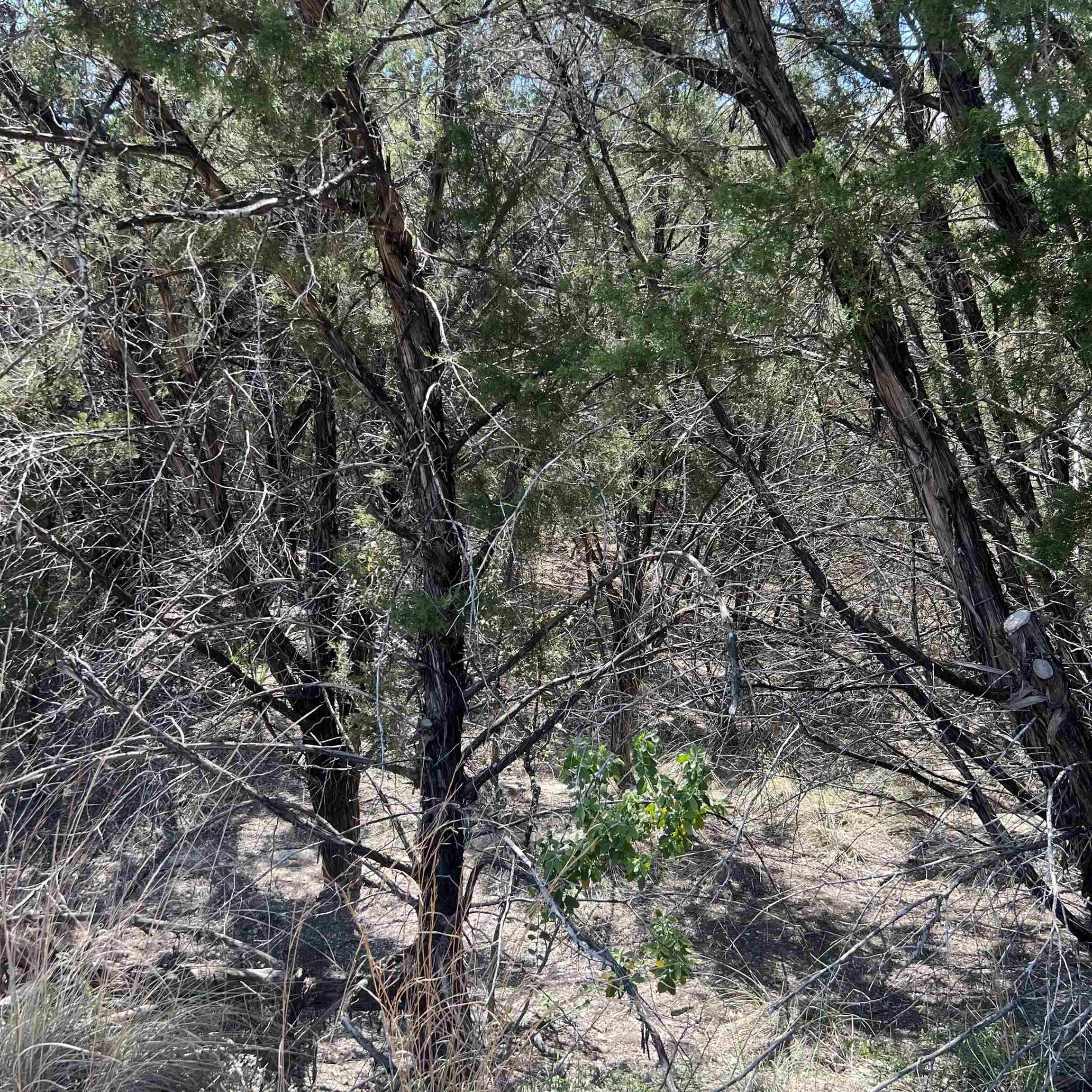Image 4 Image 4