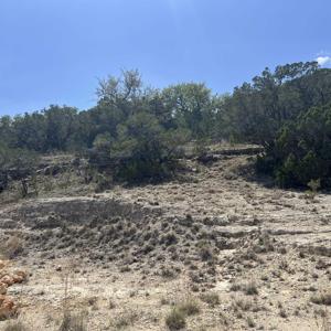 28530 Paradise Manor Drive
