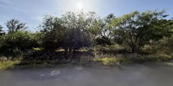 Image 2 Image 2