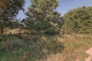 Lots 503 & 504 W Beech Drive