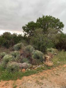 Lots 93,94,95 Fawn Ridge Rd
