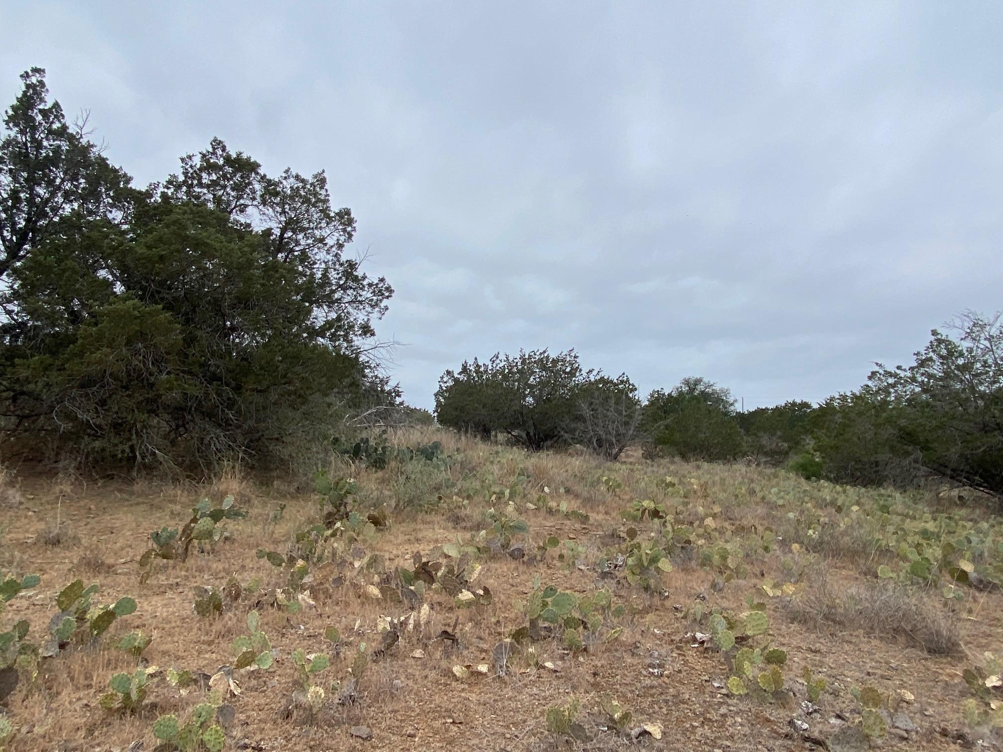 Image 3 Image 3