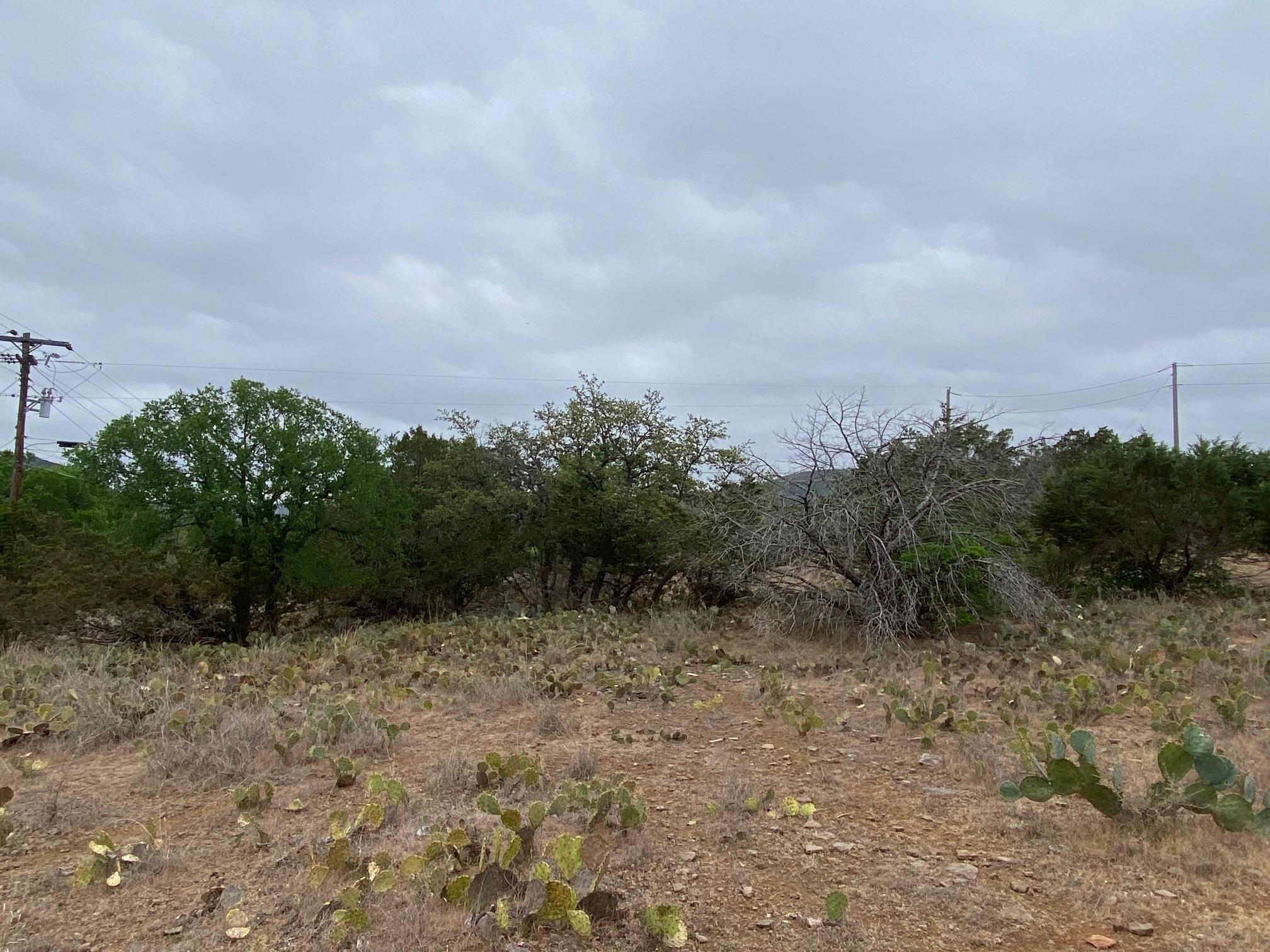Image 4 Image 4