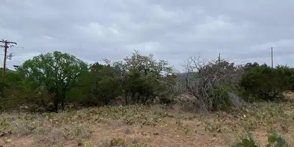 Image 4 Image 4