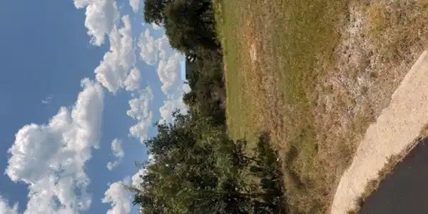 Image 2 Image 2