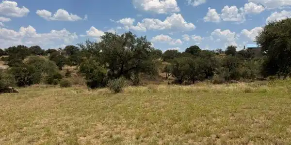 Image 4 Image 4