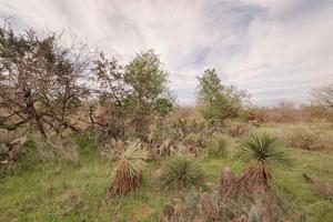Lot 317 Rosehill Drive