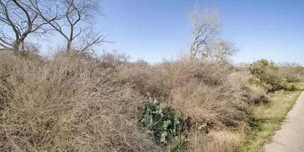 Lot 509 S Lake Drive