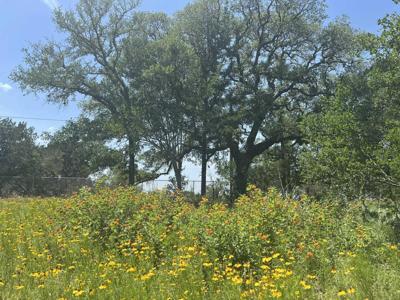 Lot 553 Maple Lane
