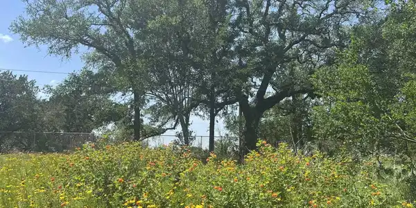 Lot 553 Maple Lane