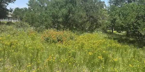 Lot 554 Maple Lane