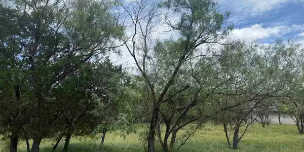 Image 3 Image 3