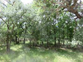 Lots 139 & 140 E Hickory Drive