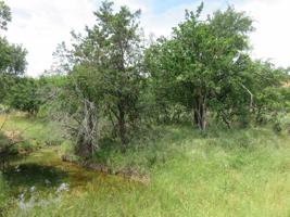 Lot 352 W Greenbriar