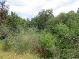 Lot 225 W Stonecastle Drive