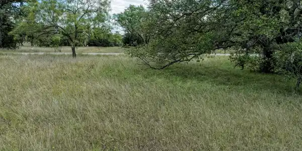 Image 2 Image 2