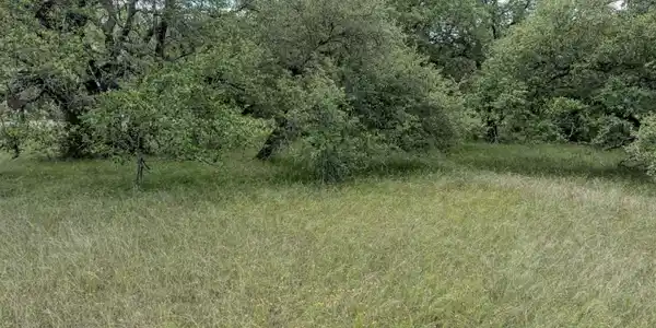 Image 3 Image 3