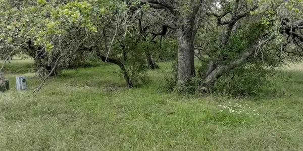 Image 4 Image 4