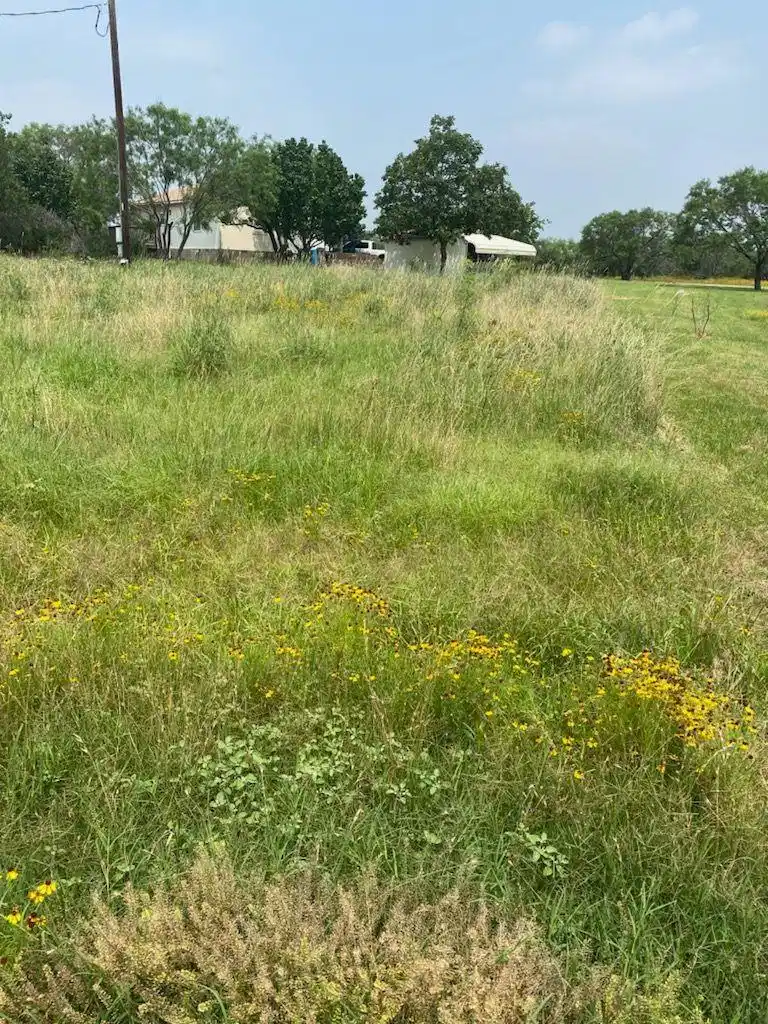 Image 1 Image 1
