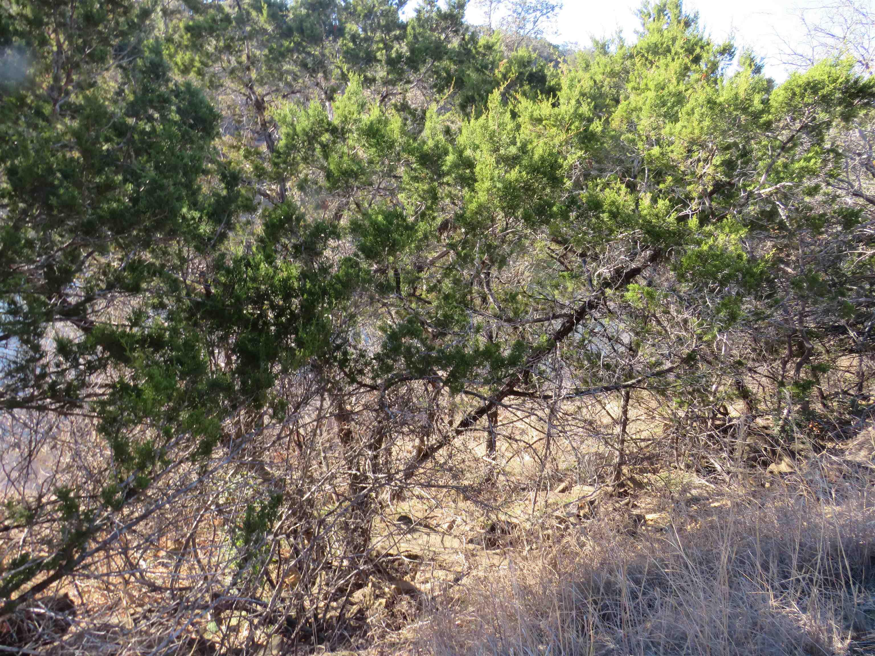 Image 4 Image 4