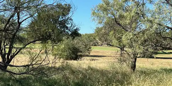 Image 3 Image 3