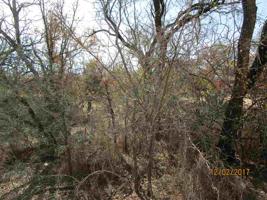 lot 539 W Greencastle Drive