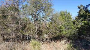 LOT 323 W Greenbriar Drive