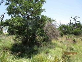 Lot 653 W Newcastle Drive