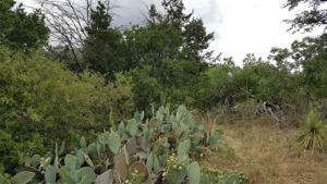 lot 559 W Greencastle Drive