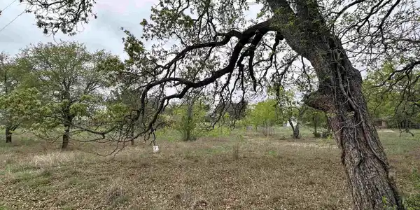 Lot 160 Driftwood Ln