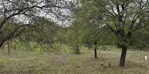 Image 3 Image 3