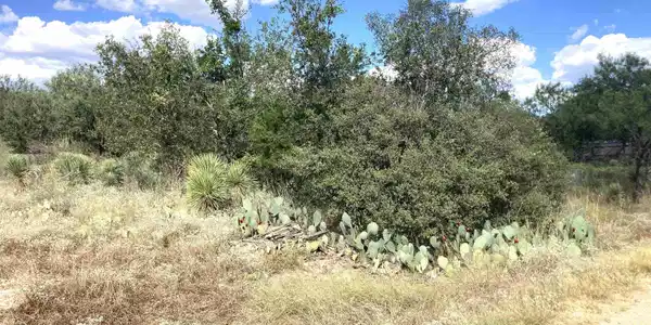 Image 4 Image 4