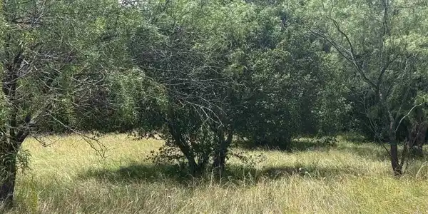 Image 3 Image 3