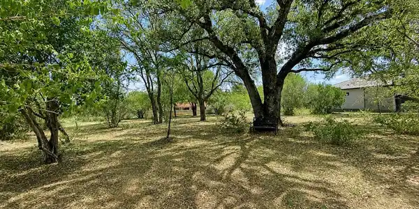 19052 Longhorn