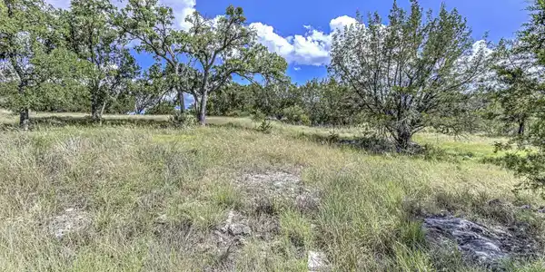 Image 4 Image 4