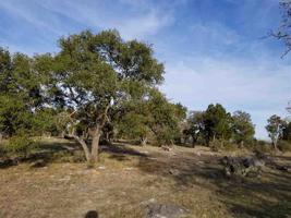 Lt 41062 Hi Ridge Road