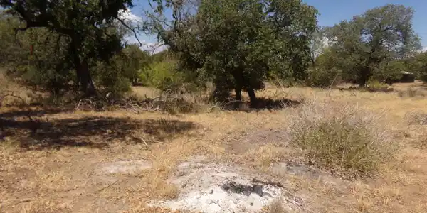 lot 140 Pine Lane