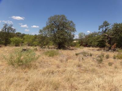 lot 141 PINE