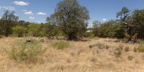 lot 141 PINE