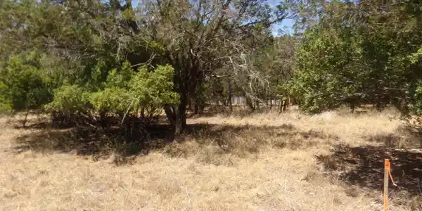 Image 3 Image 3