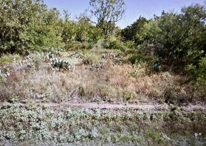 Lot 364 & 365 Apache Drive