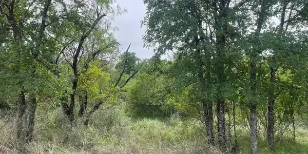Image 3 Image 3
