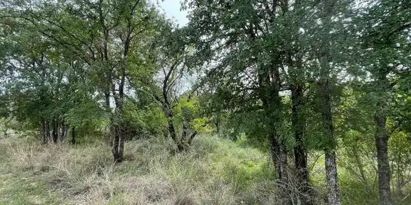 Image 4 Image 4