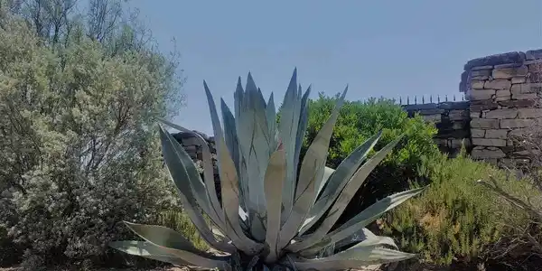 Image 2 Image 2