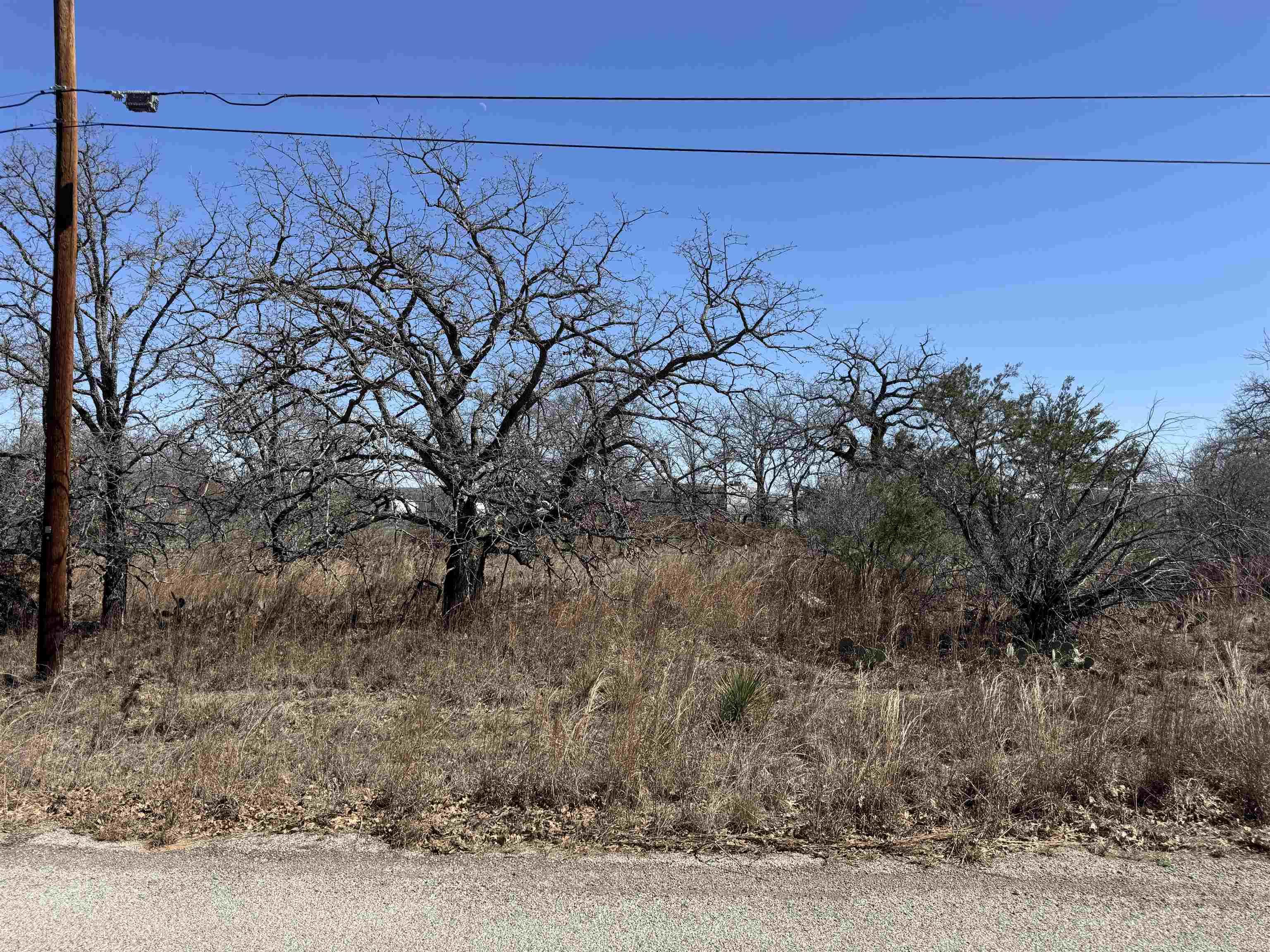 Image 3 Image 3
